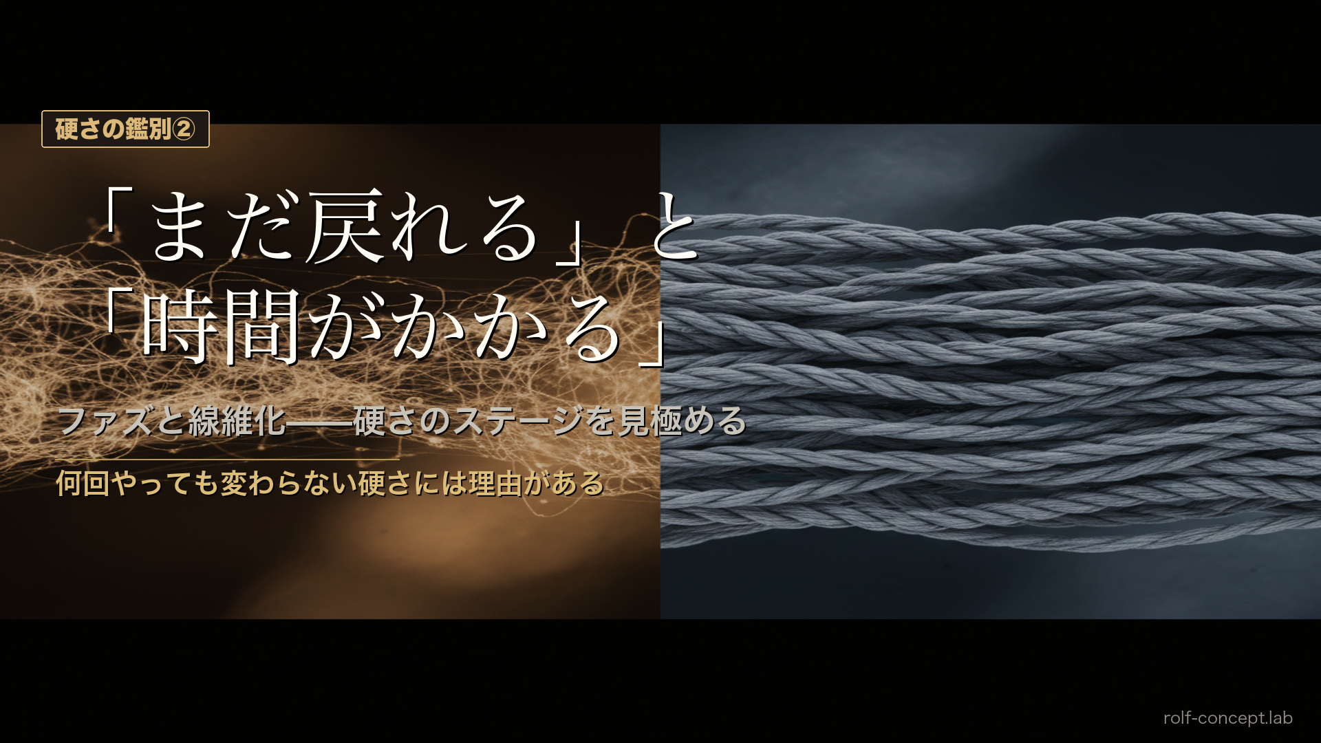 筋膜の「硬さ」には種類がある②——ファズと線維化、「まだ戻れる段階」と「時間がかかる段階」