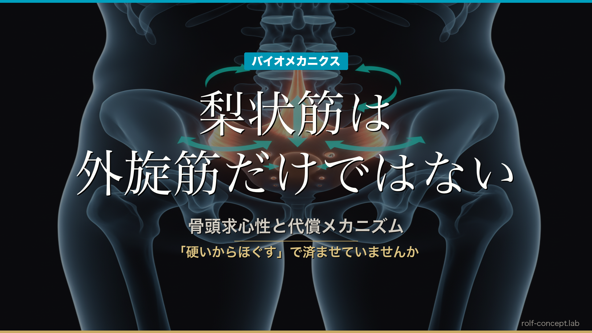 梨状筋は外旋筋だけではない——骨頭求心性と代償メカニズムのバイオメカニクス