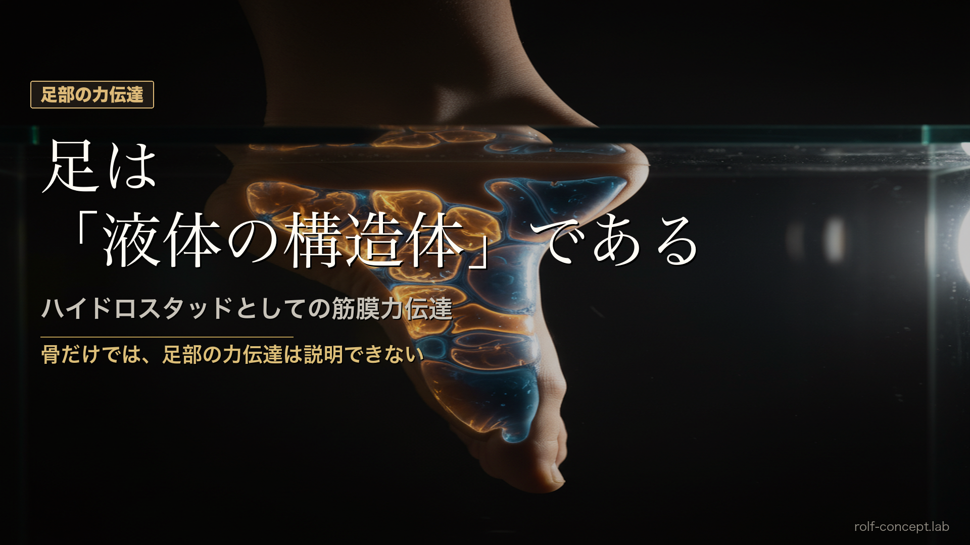 足部コンパートメントと油圧増幅——「ハイドロスタッド」としての筋膜力伝達メカニズム