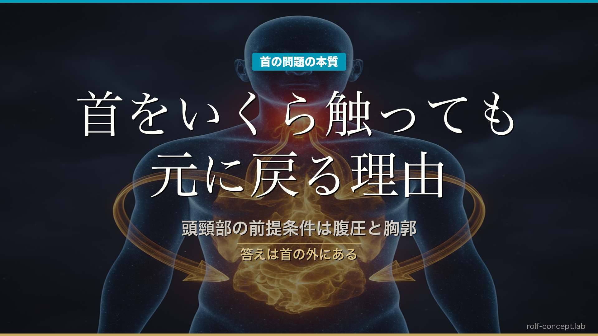 頭頸部の前提条件は腹圧と胸郭——代償性の頸椎前弯が後頭下筋群に与える影響