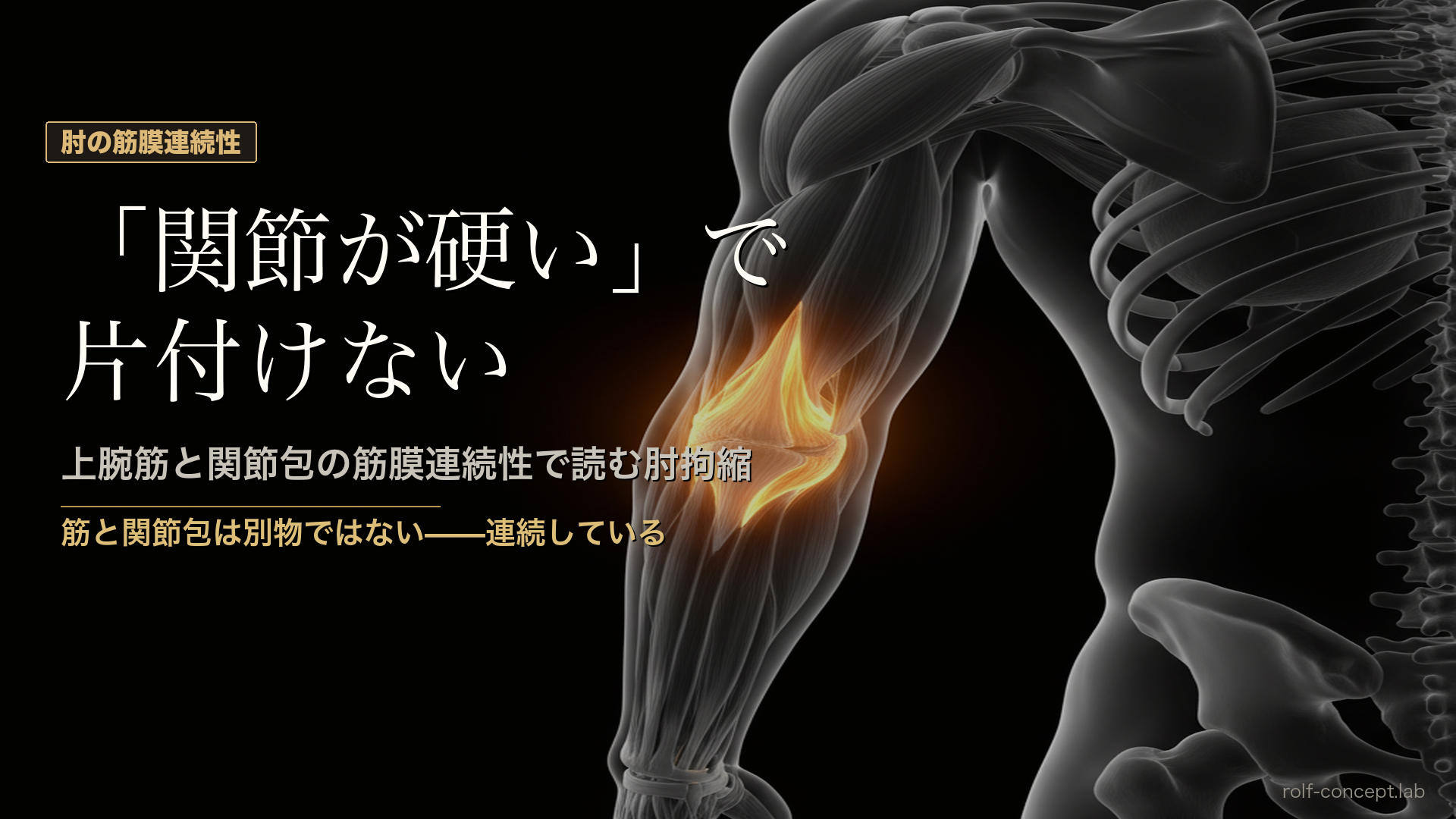 肘のmusculo-capsular unit——上腕筋と関節包の筋膜連続性で読む肘拘縮