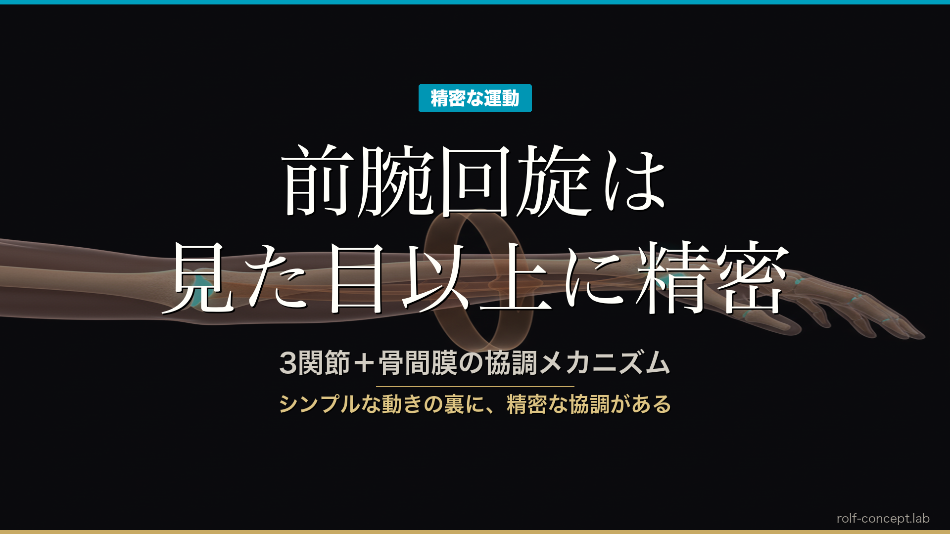 前腕回旋の機能解剖——fibro-osseous ringと4関節＋骨間膜の協調メカニズム