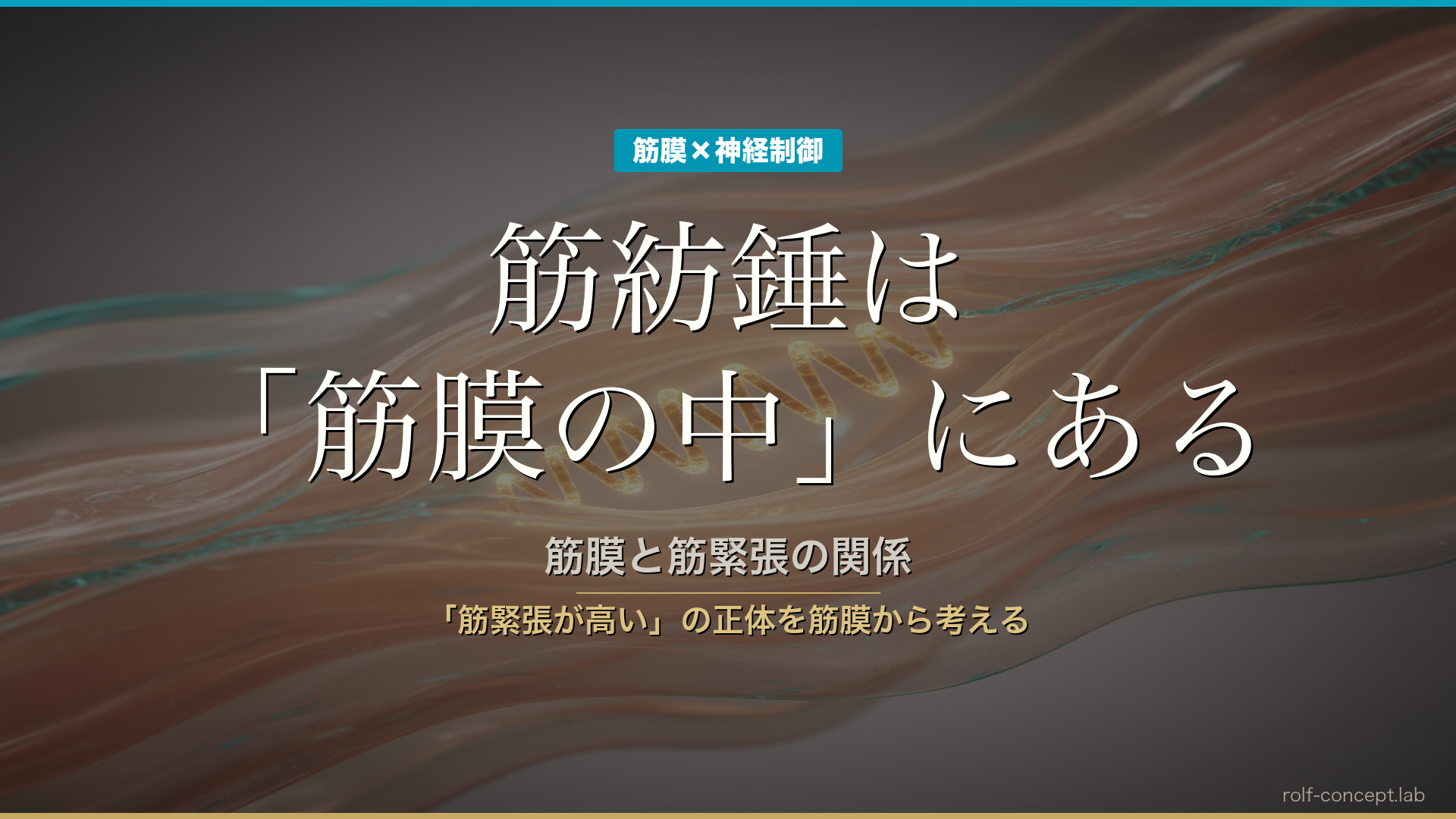 筋膜と筋緊張の関係——筋紡錘は「筋膜の中」にある